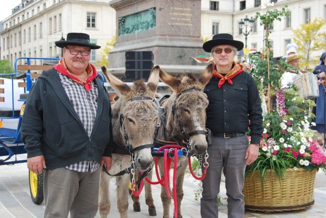 Orelans 8 mai 2014 (28).jpg